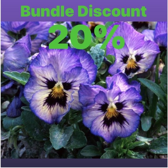 Meet the Artisan, Jo Allyn - Picture 15 of 15